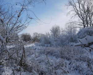 Sneeuwlandschap